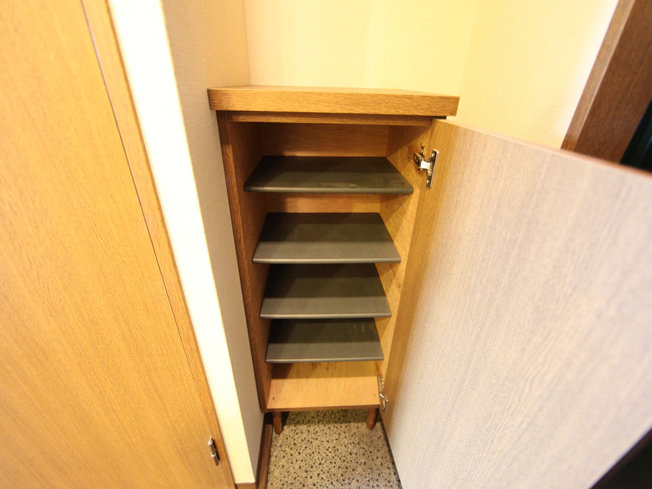 Entrance. Entrance Shoe box Storage rich have