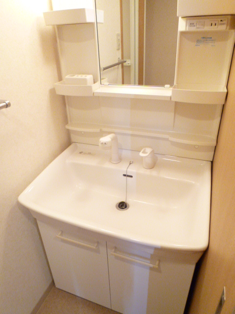 Washroom. Shampoo dresser