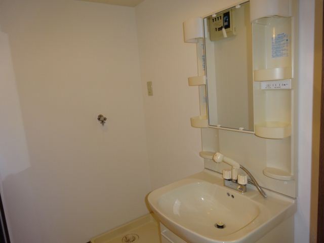 Washroom. It comes with a shower dresser