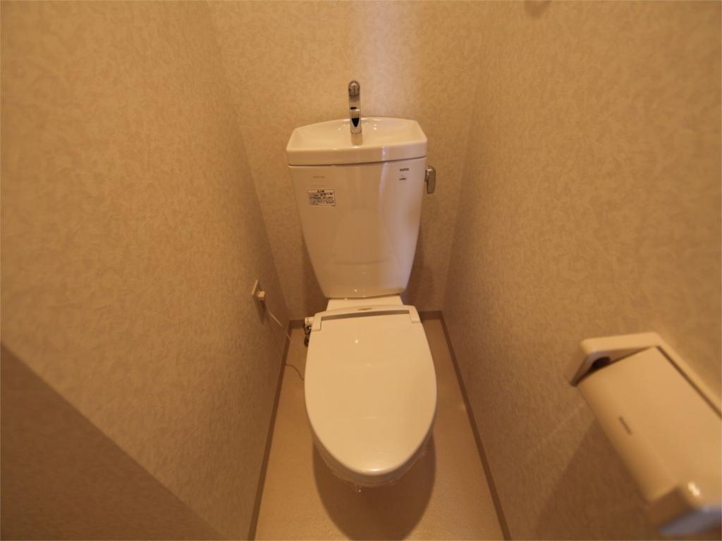 Toilet. Warm water washing toilet seat mounted Allowed