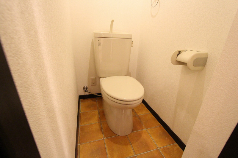 Toilet.  ※ 207, Room interior photograph reference