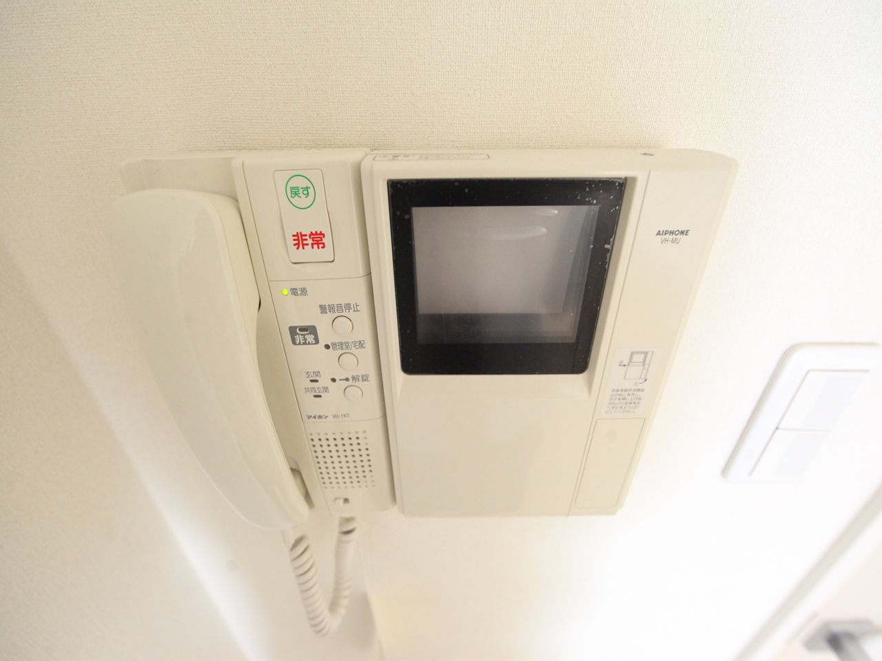 Security. Intercom with TV monitor