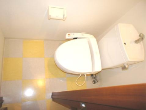 Toilet. Toilet with shower