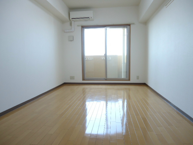 Living and room. Western-style (shooting from the kitchen side