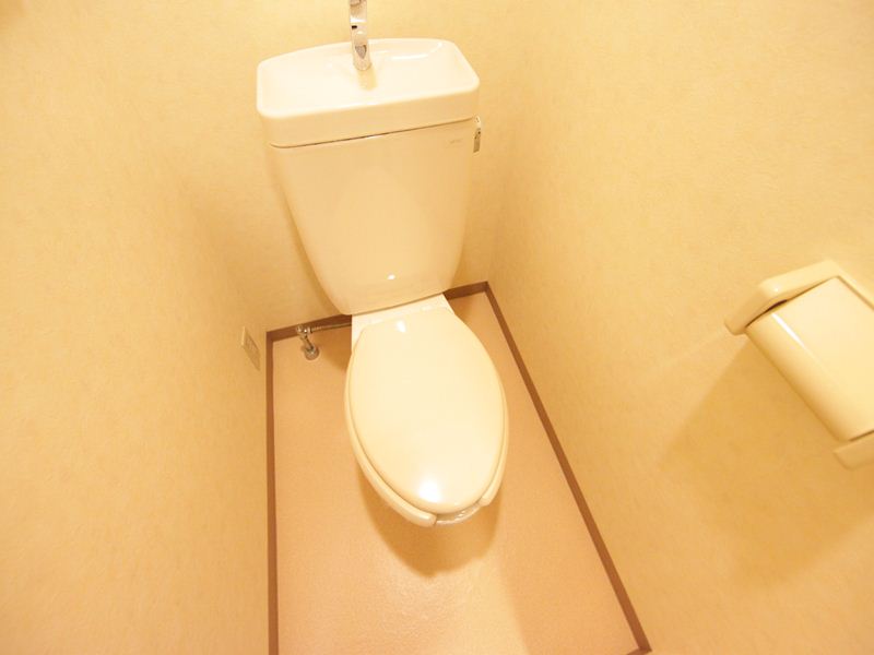 Toilet. Warm water washing toilet seat mounting possible