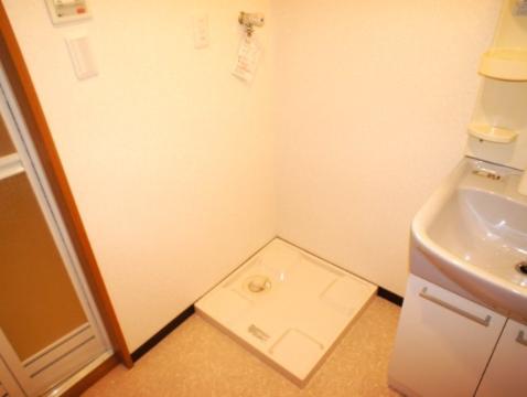 Other room space. Laundry Area