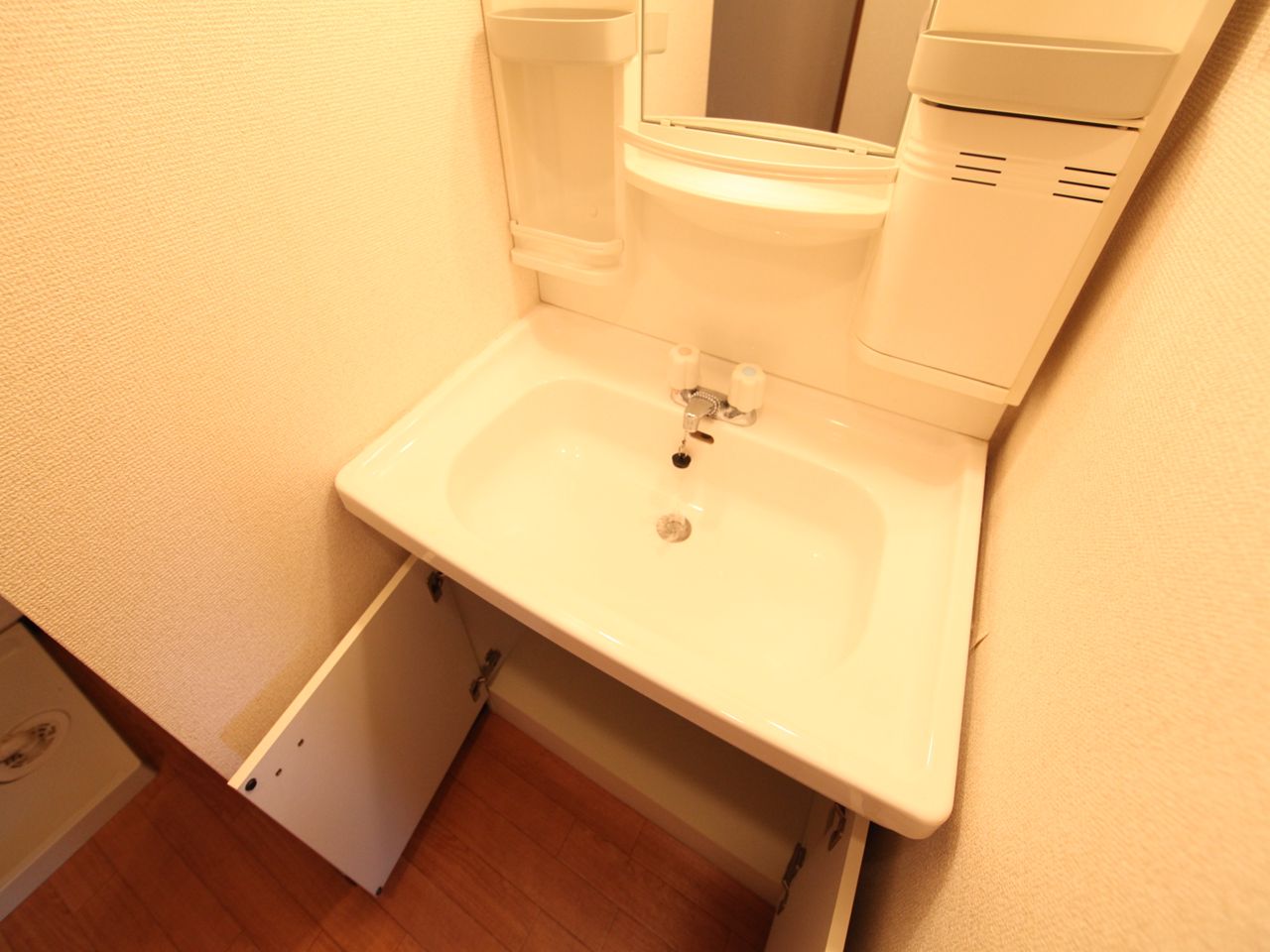 Living and room. Dressing room Independent basin with vanity