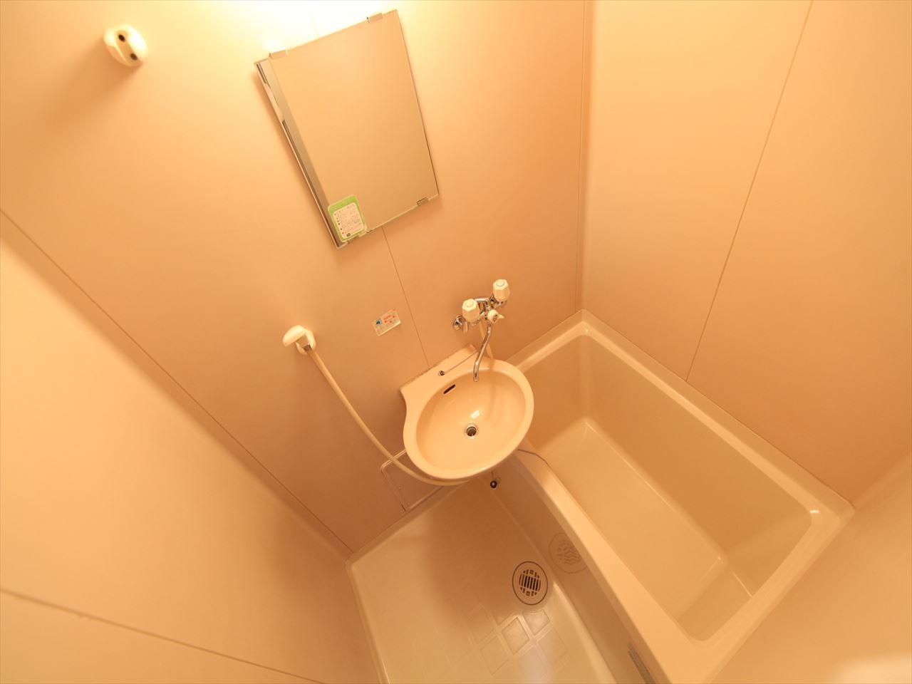 Bath. Bathroom (bath ・ Another toilet)