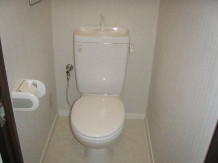 Toilet. Toilet