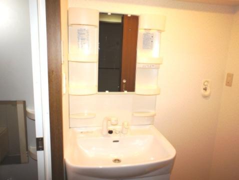 Washroom. Bathroom Vanity