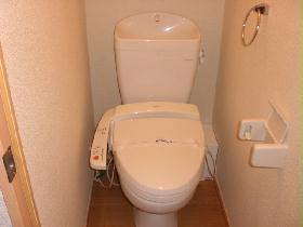 Toilet. Washlet toilet