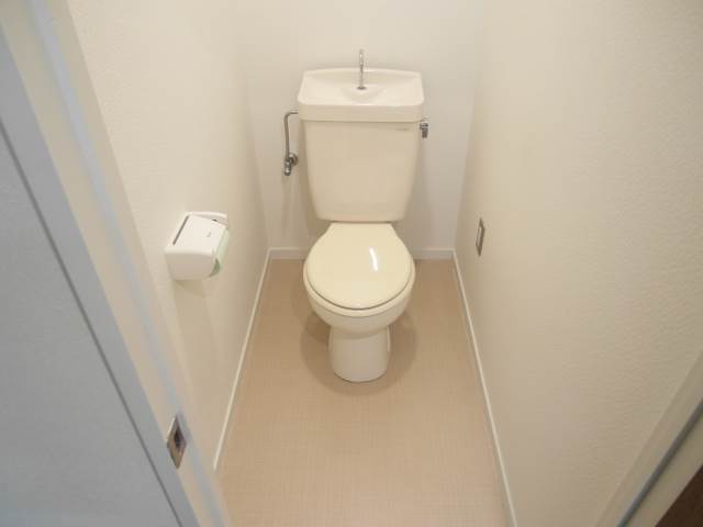 Toilet. I am happy in a wide toilet! 