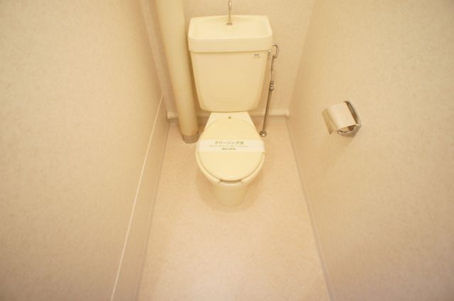 Toilet. Western-style toilet