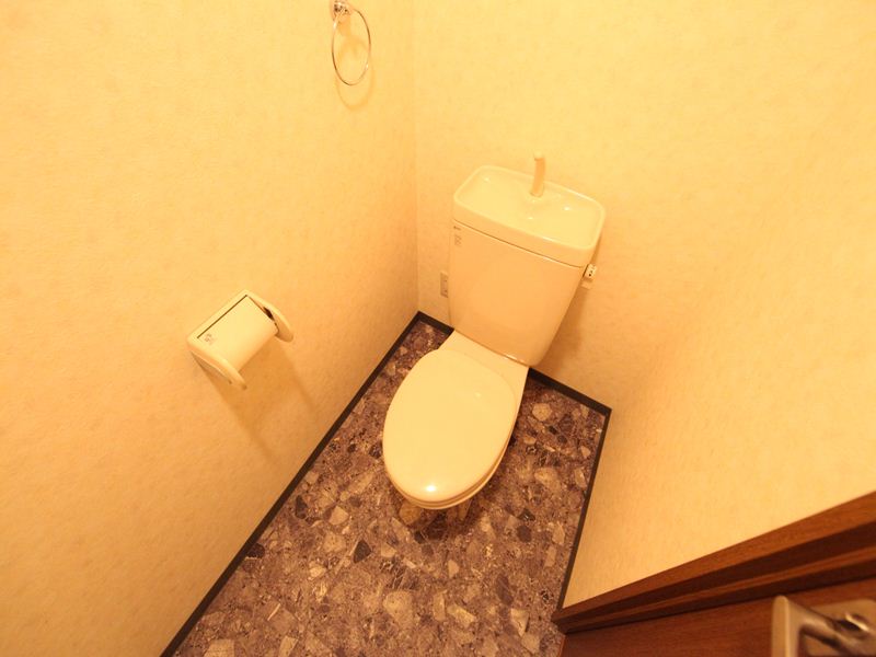 Toilet. Warm water washing toilet seat mounting possible