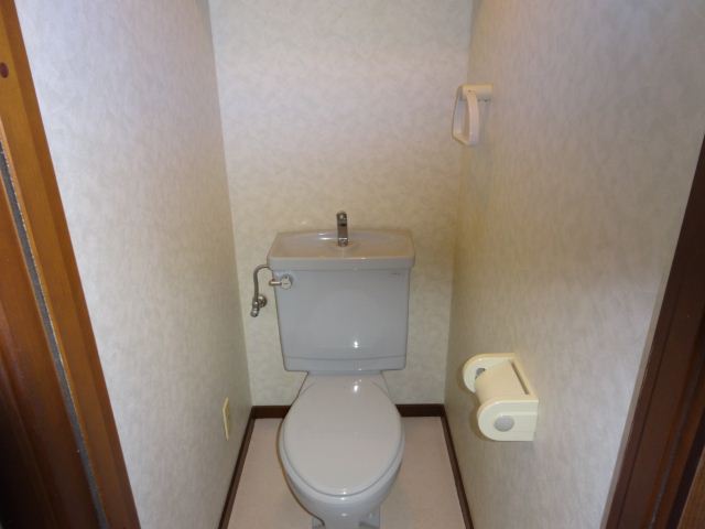 Toilet. Shelf there, It is with outlet