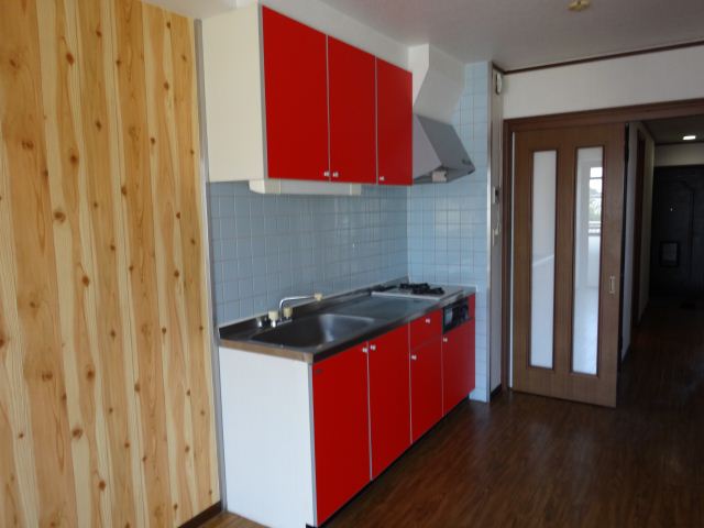 Kitchen. It is fashionable in the red kitchen