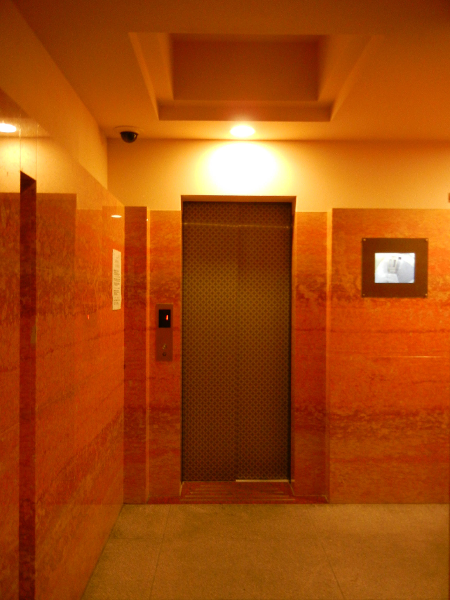 Other common areas. Elevator hall (with security cameras)