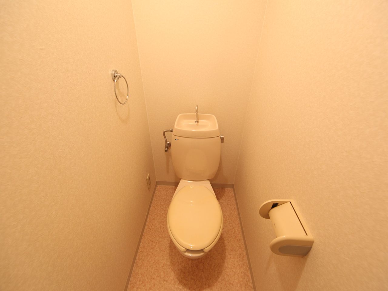 Toilet. Warm water washing toilet seat mounting Allowed