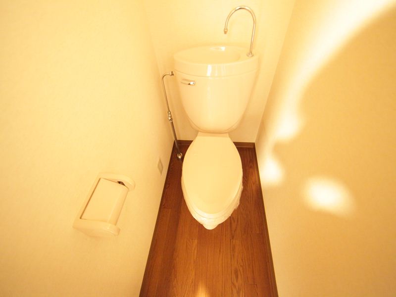 Toilet. Warm water washing toilet seat mounting possible