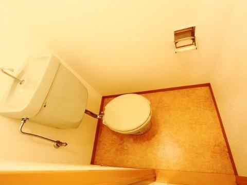 Toilet. Toilet