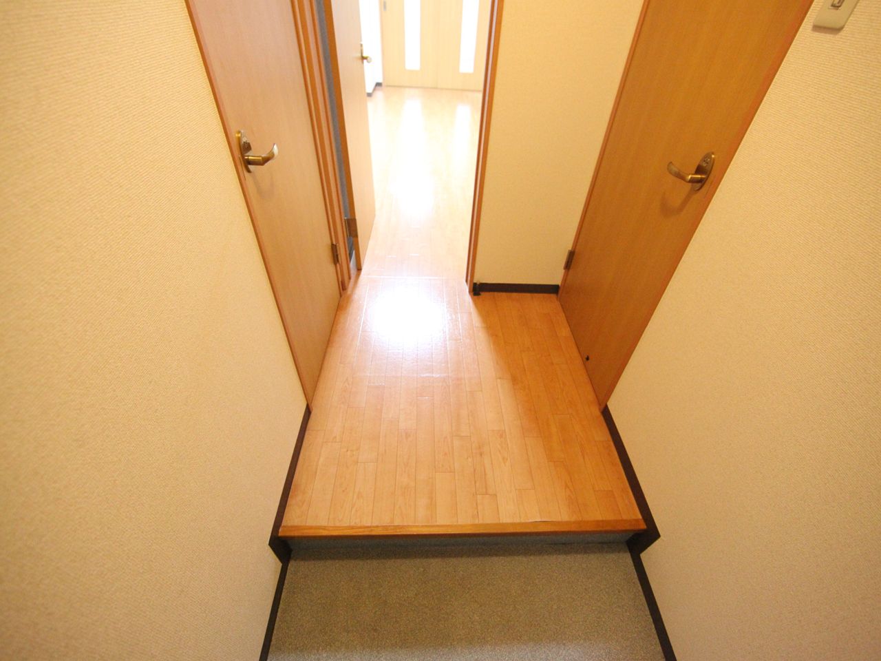 Entrance. Bulkhead. There is a door between the foyer and the living room