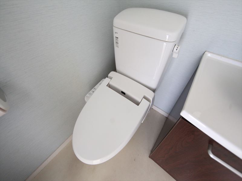 Toilet. Bidet with toilet