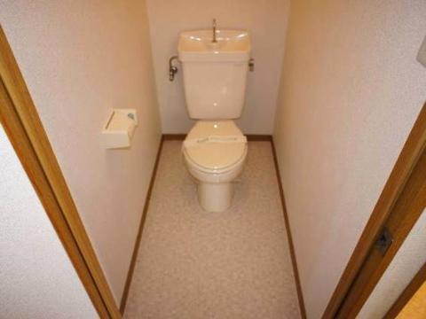 Toilet. WC