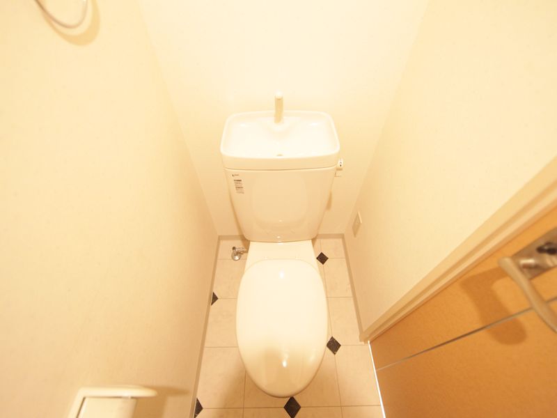 Toilet. Warm water washing toilet seat mounting possible