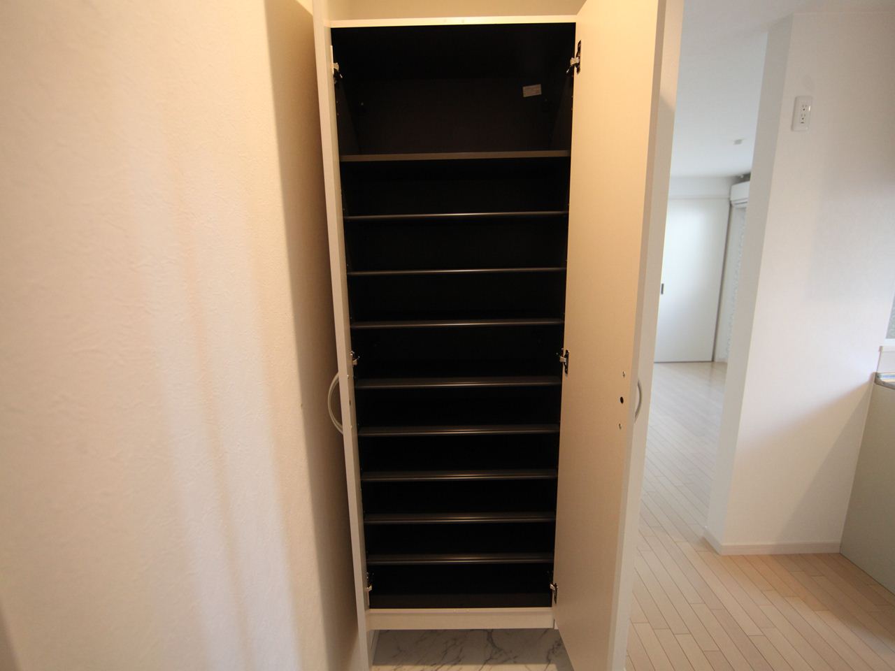 Entrance. Entrance Shoe box Storage rich have