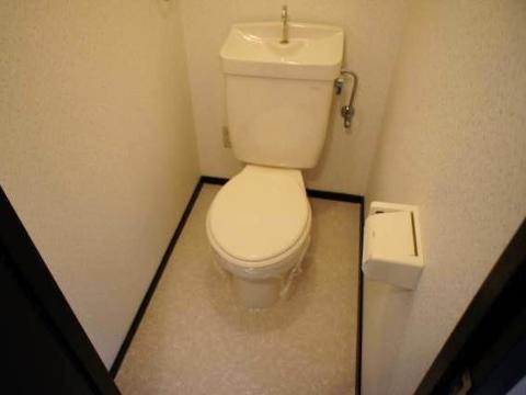 Toilet. WC