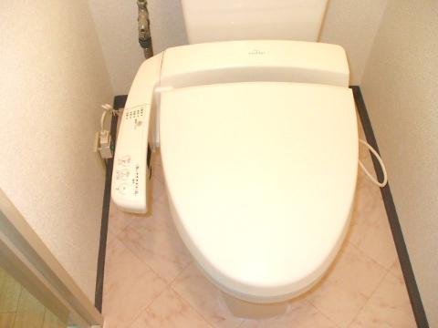 Toilet. Toilet