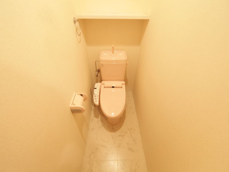 Toilet. Warm water washing toilet seat mounting possible