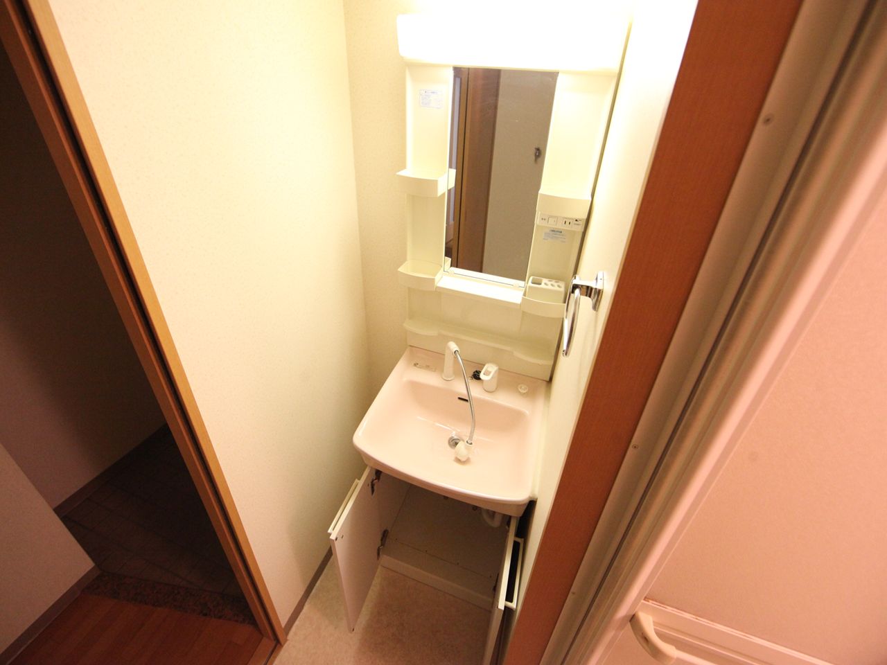 Washroom. Separate vanity (shampoo dresser)