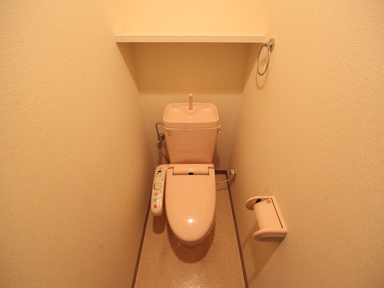 Toilet. Toilet with warm water washing toilet seat With shelf