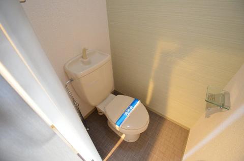 Toilet. WC