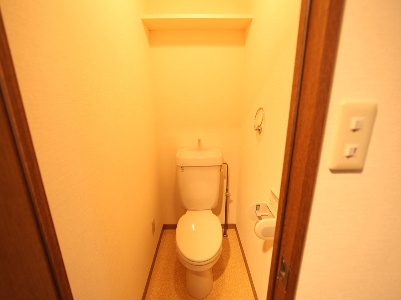 Toilet. Warm water washing toilet seat mounting Allowed toilet