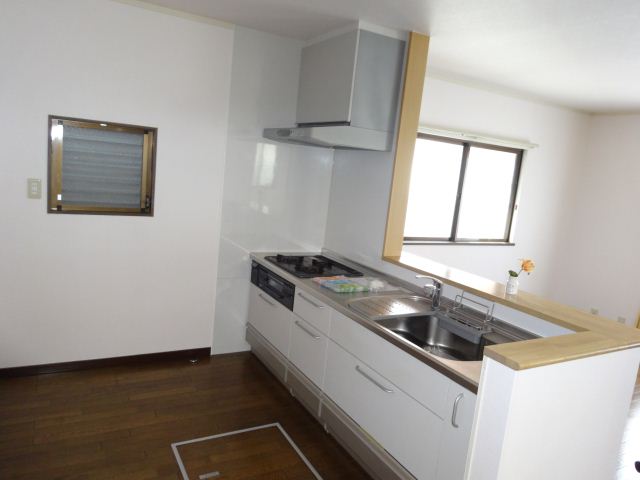 Kitchen. With a stove in the kitchen counter