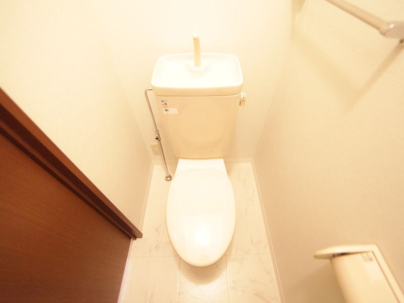 Toilet. Warm water washing toilet seat mounting possible