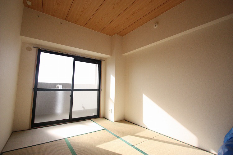 Living and room. Japanese Room