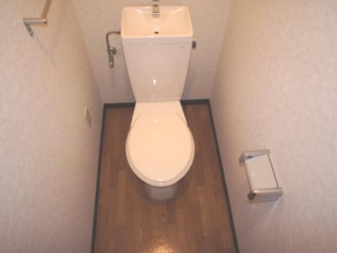 Toilet. WC