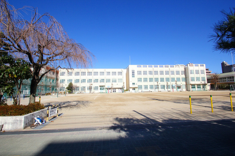 Primary school. Toyotomi to elementary school (elementary school) 474m