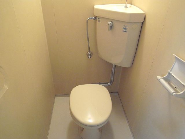 Toilet. This is a conventional Western-style toilet.