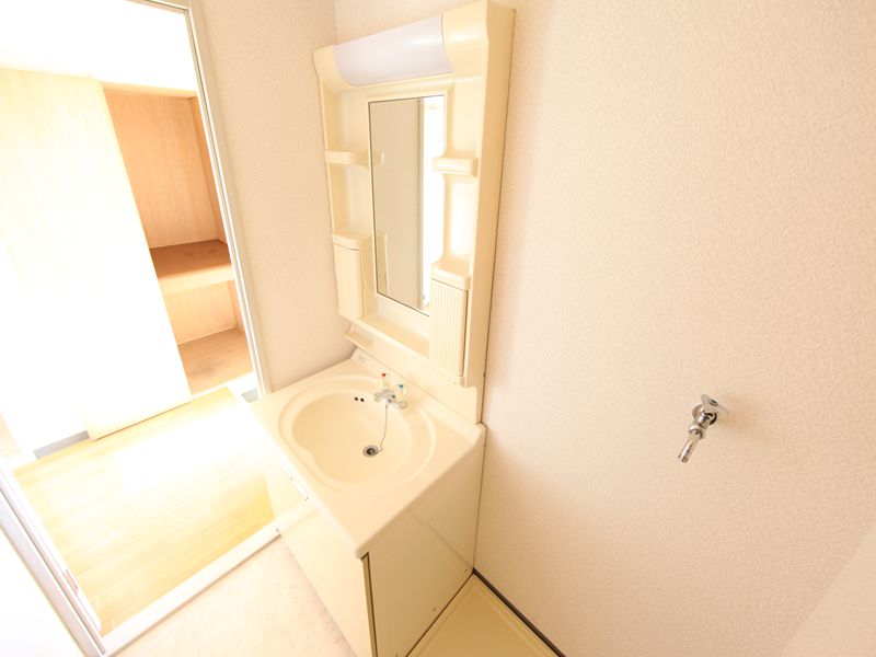 Washroom. Dressing room Independent wash basin Indoor Laundry Storage