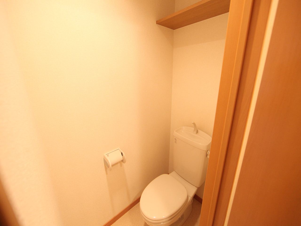 Toilet. toilet With shelf