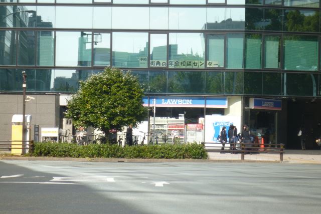 Convenience store. 300m until Lawson (convenience store)