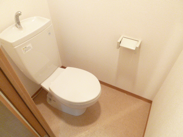 Toilet. Spacious toilet! 