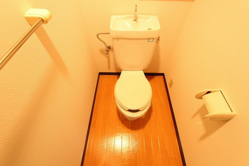 Toilet.  ※ 202, Room interior photograph reference