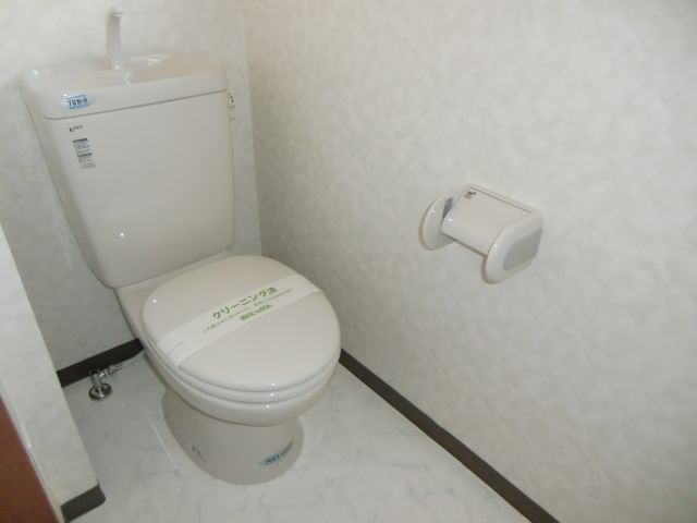 Toilet. Western-style toilet