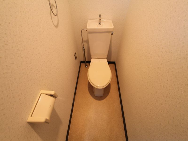 Toilet. Warm water washing toilet seat mounting possible