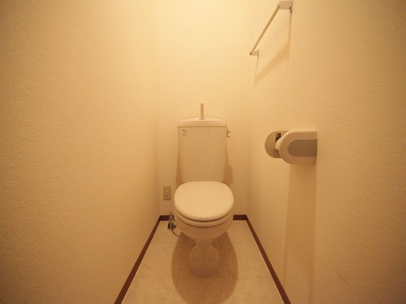 Toilet. Separate image Western-style toilet Possible installation of warm water washing toilet seat